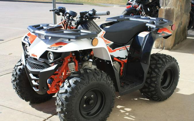 2025 Kayo Bull 125 EFI