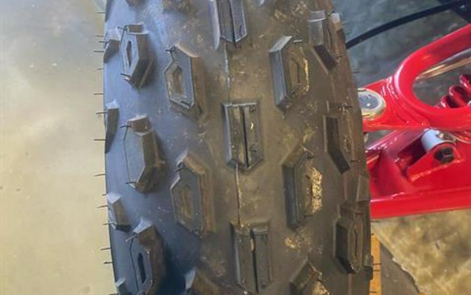 2026 Can-Am Renegade X XC 110 EFI