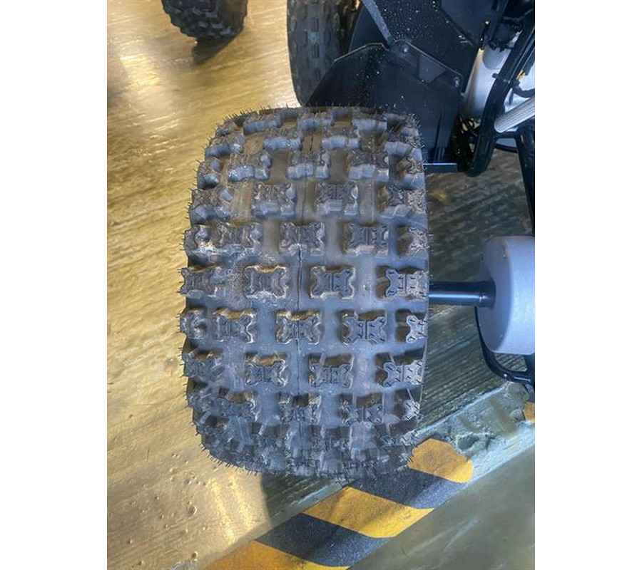 2026 Can-Am Renegade X XC 110 EFI