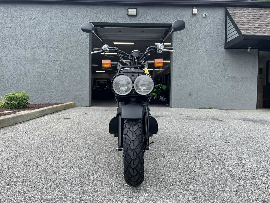 2024 Honda Ruckus