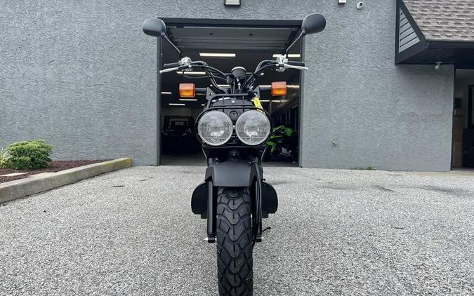 2024 Honda Ruckus