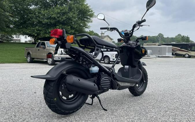 2024 Honda Ruckus