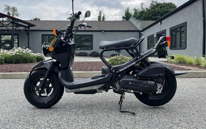 2024 Honda Ruckus