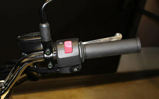 2025 Kawasaki W230 ABS