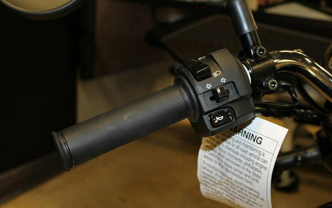 2025 Kawasaki W230 ABS