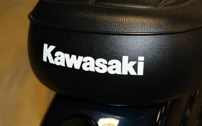 2025 Kawasaki W230 ABS