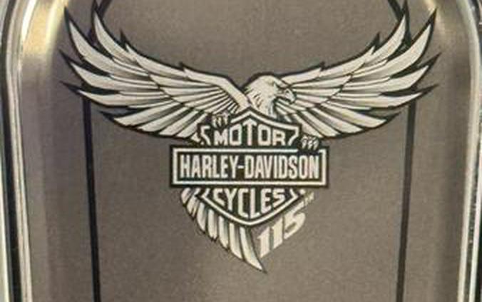 2018 Harley-Davidson® FLHTKSE - CVO™ Limited 115th Anniversary