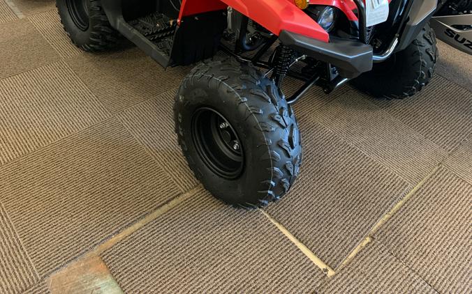 2025 Yamaha Grizzly 110