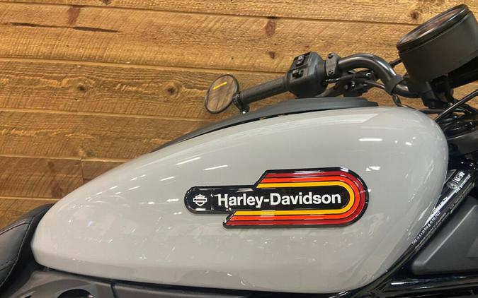 2024 Harley-Davidson Nightster™ Billiard Gray RH975