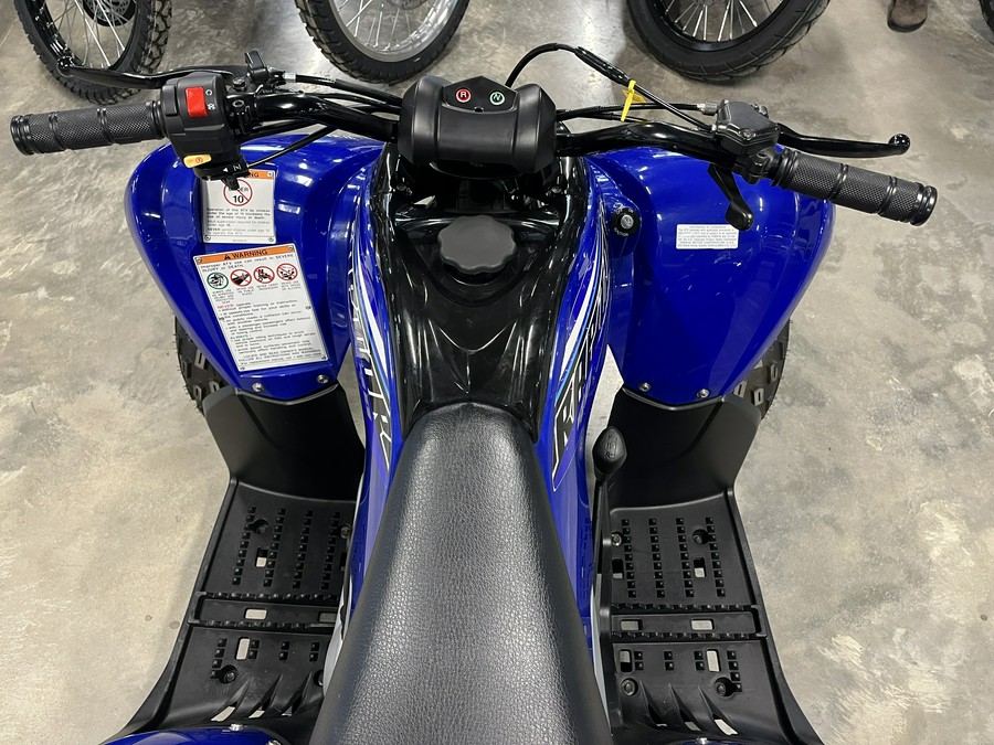2023 Raptor 90 - Yamaha