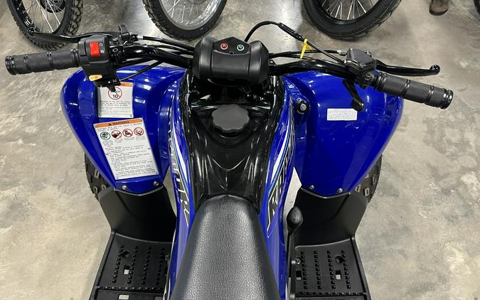 2023 Raptor 90 - Yamaha