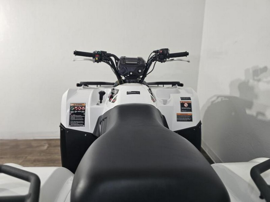 2025 Kawasaki Brute Force® 450 4x4