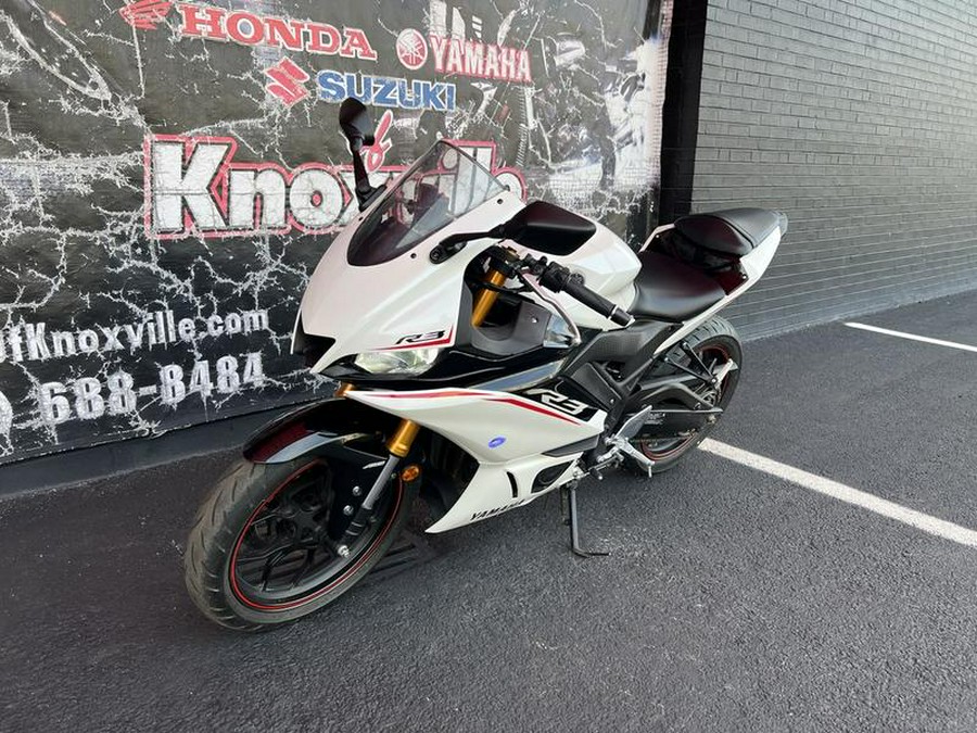 2019 Yamaha YZF-R3 ABS