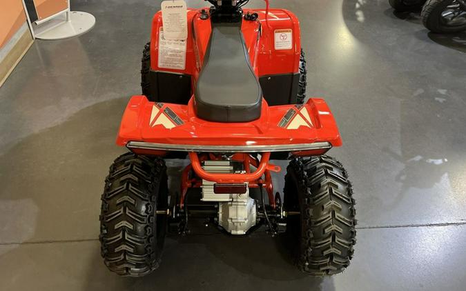 2026 Denago Powersports E-Hawk 6
