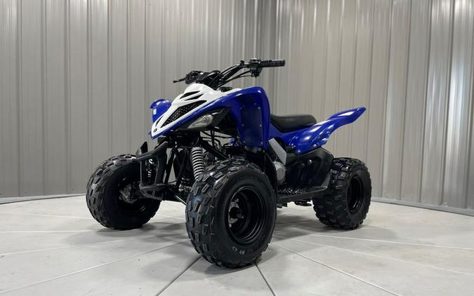 2019 Yamaha RAPTOR 90