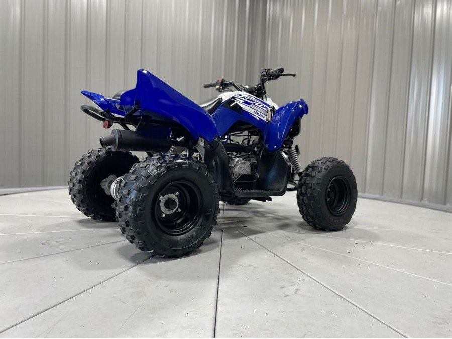 2019 Yamaha RAPTOR 90