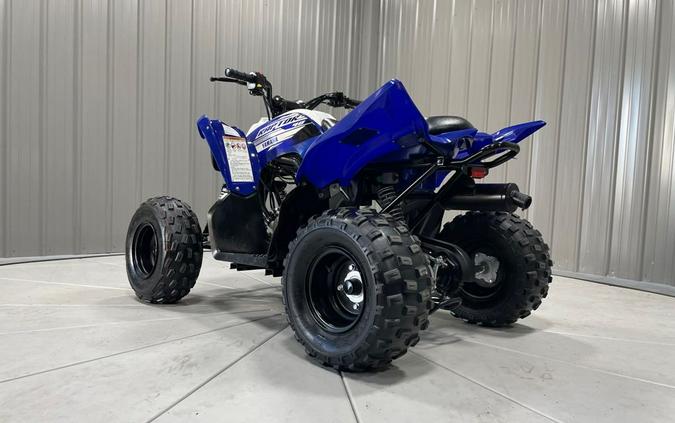 2019 Yamaha RAPTOR 90