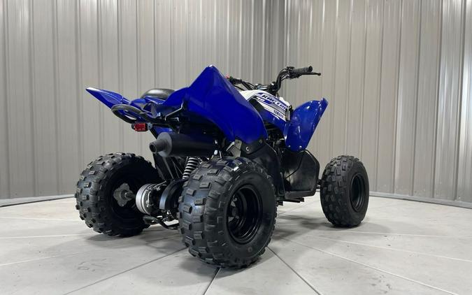 2019 Yamaha RAPTOR 90