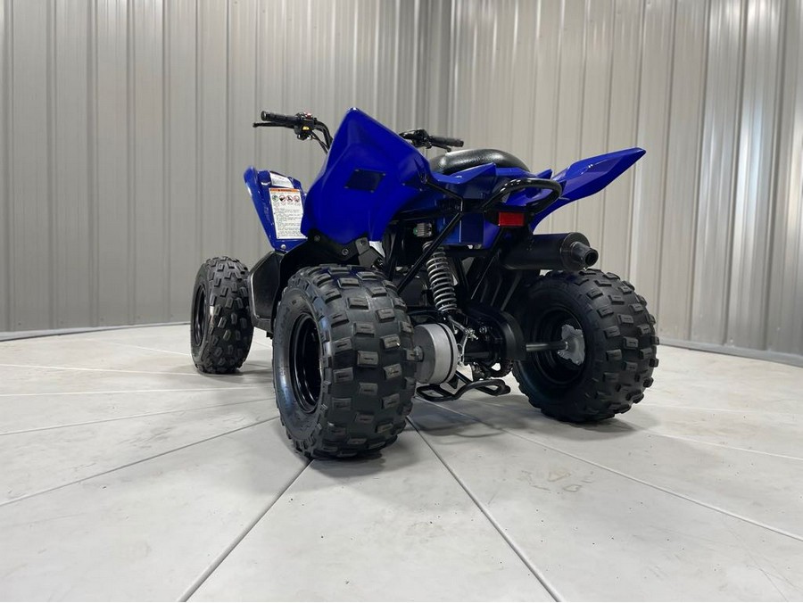 2019 Yamaha RAPTOR 90