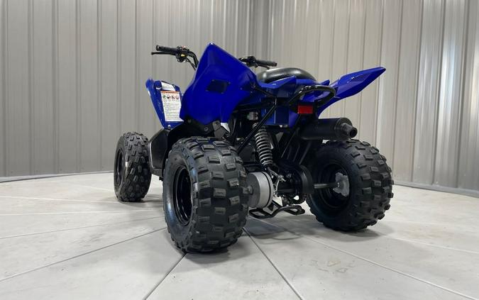 2019 Yamaha RAPTOR 90