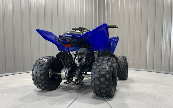 2019 Yamaha RAPTOR 90