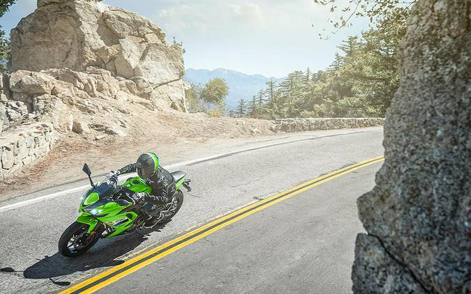 2026 Kawasaki Ninja® 650 ABS