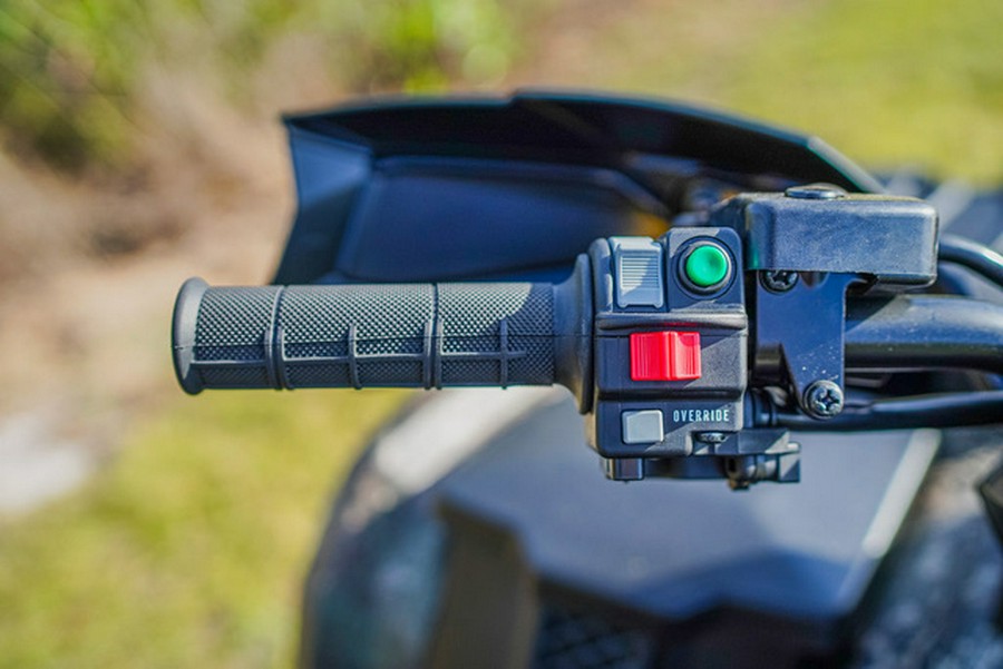 2026 Kawasaki Brute Force 750 SE EPS