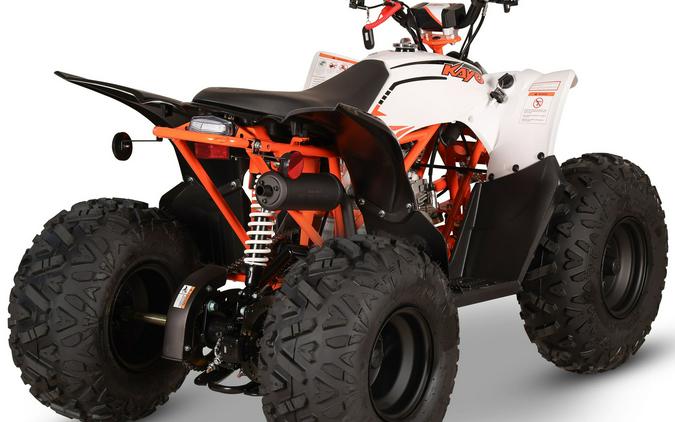 2027 Kayo Storm 110