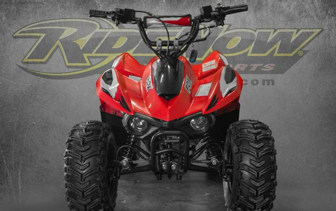 2026 Kayo Fox / Storm 70