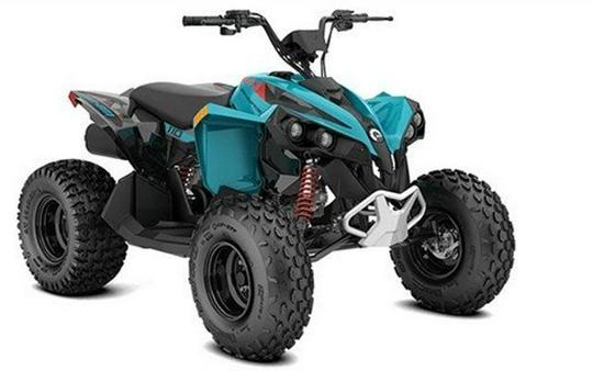 New 2024 Can-AmT RENEGADE 110 EFI