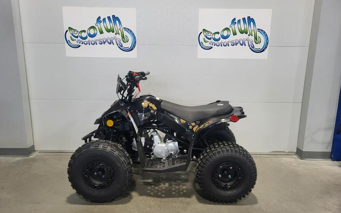 2026 BLP Drone 125 EFI