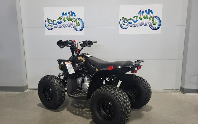 2026 BLP Drone 125 EFI