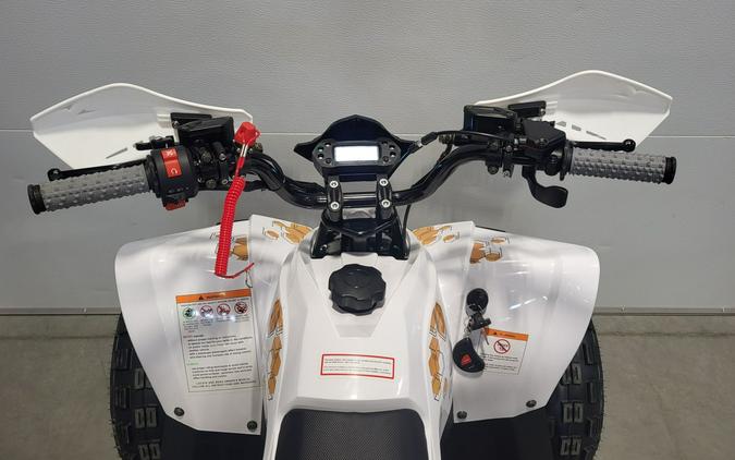 2026 BLP Drone 125 EFI