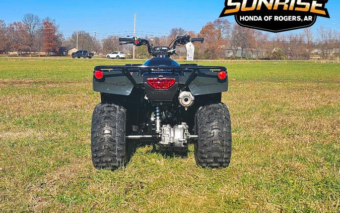 2026 Honda FourTrax Recon®