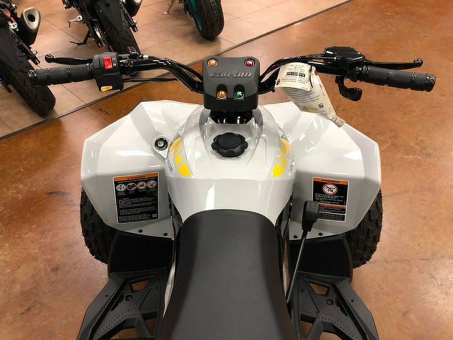 2024 Can-Am Renegade 110 EFI