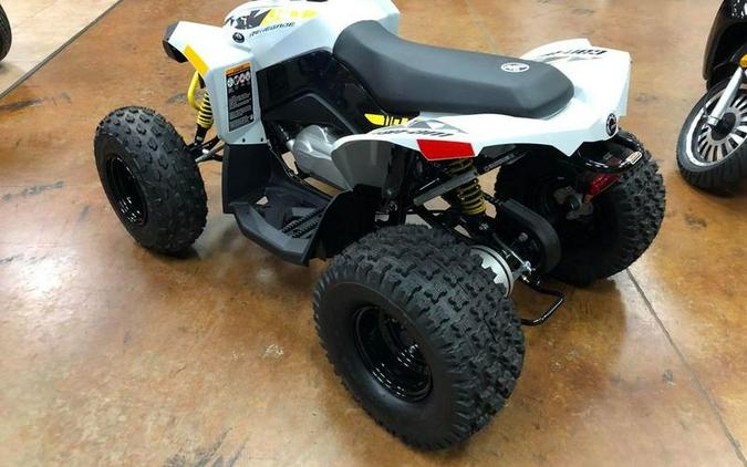 2024 Can-Am® Renegade 110 EFI