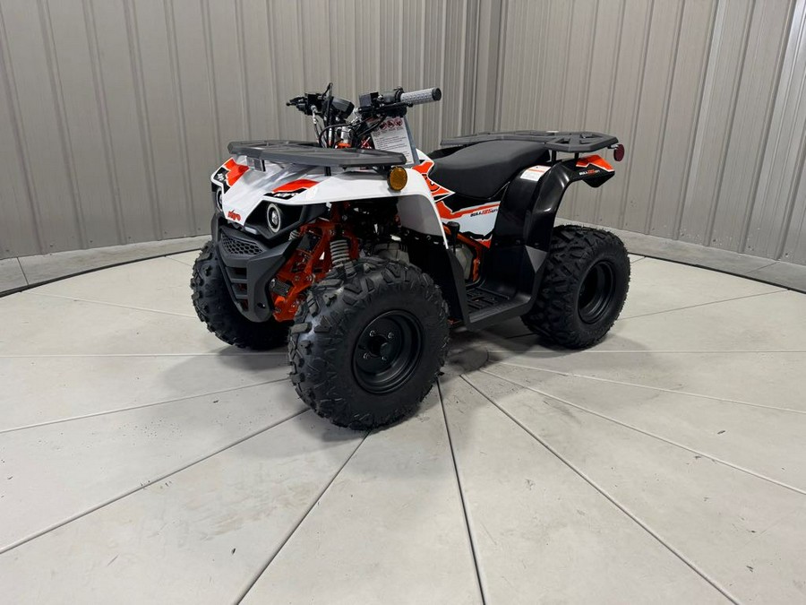 2025 Kayo BULL 125 EFI