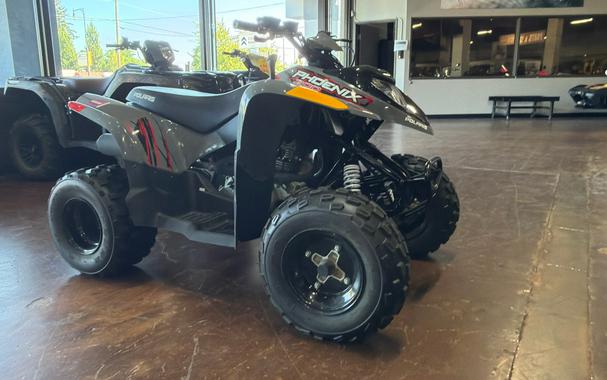 2023 Polaris PHOENIX 200 - AVALAN