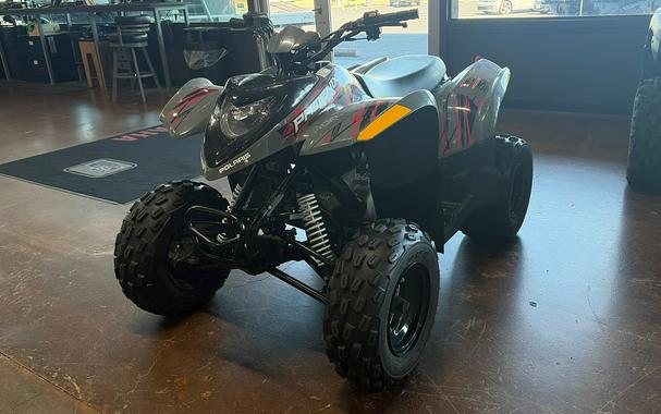 2023 Polaris PHOENIX 200 - AVALAN