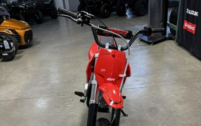 2025 SSR Motorsports SR110 SE