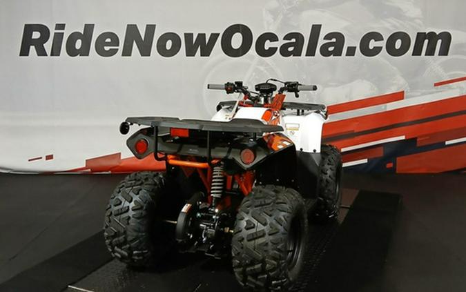 2026 Kayo Bull 125 EFI