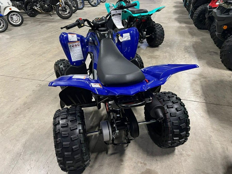 2024 Yamaha Raptor 110