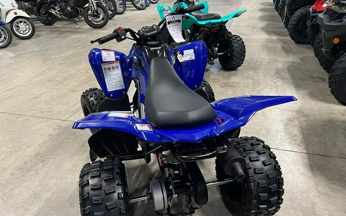 2024 Yamaha Raptor 110