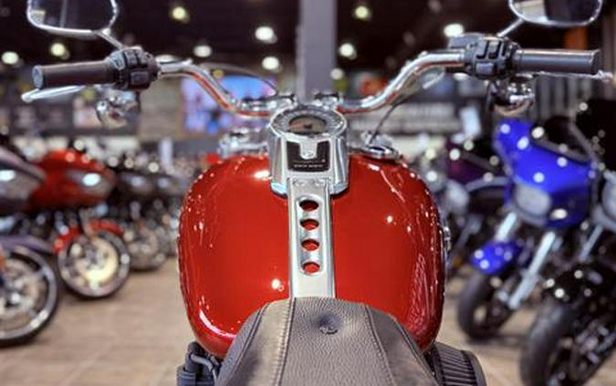 2019 Harley-Davidson Fat Boy® 114