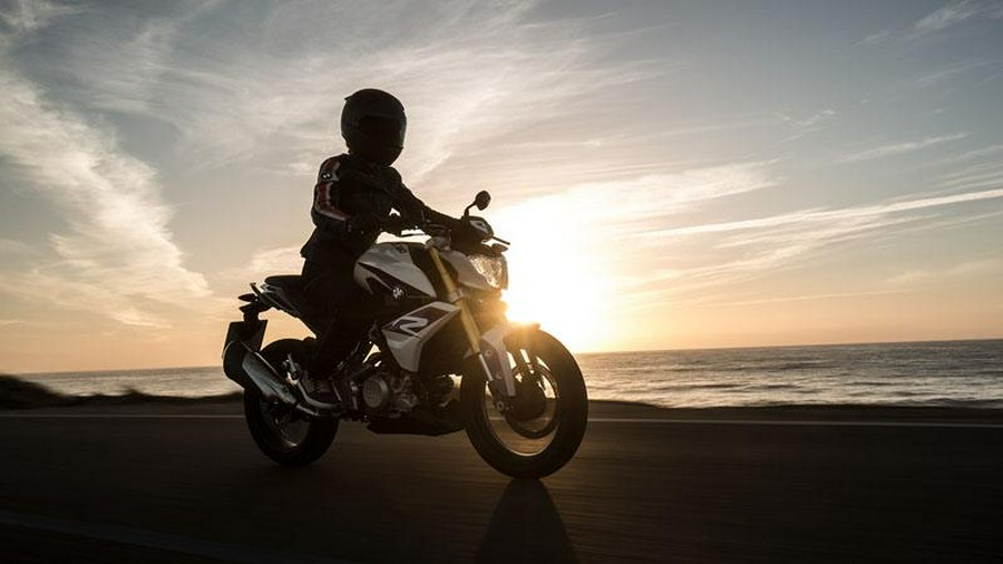2018 BMW G 310 R