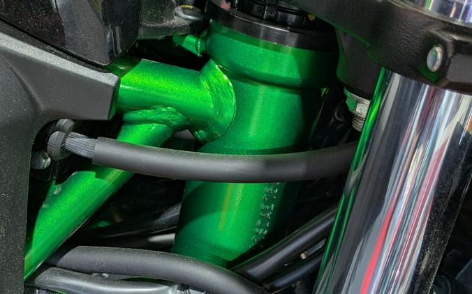 2025 Kawasaki Z650 ABS