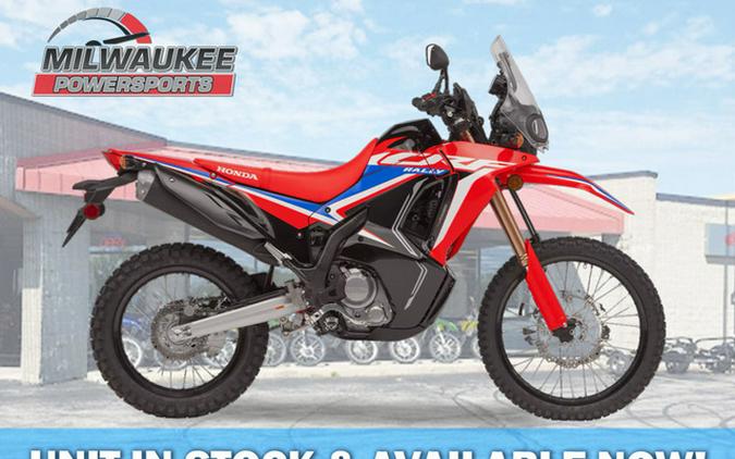 2024 Honda CRF 300L Rally