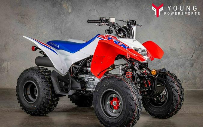 2026 Honda TRX 250X