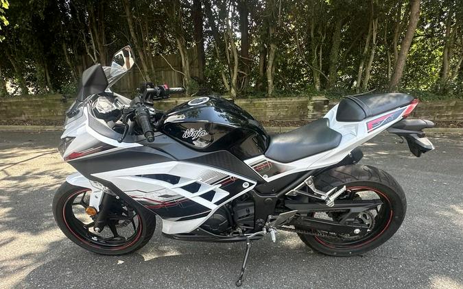 2014 Kawasaki Ninja® 300 ABS