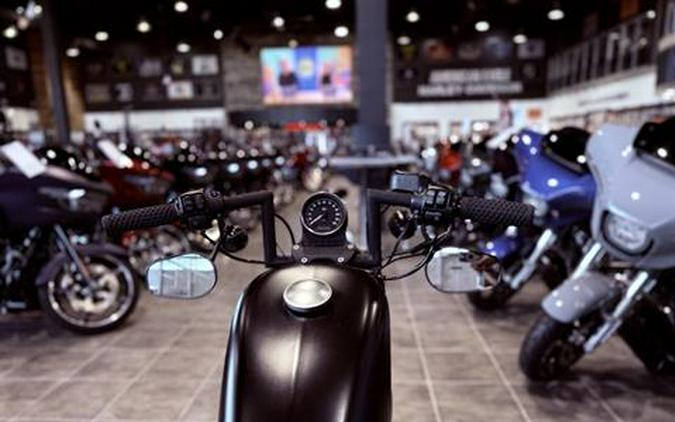 2022 Harley-Davidson Iron 883™